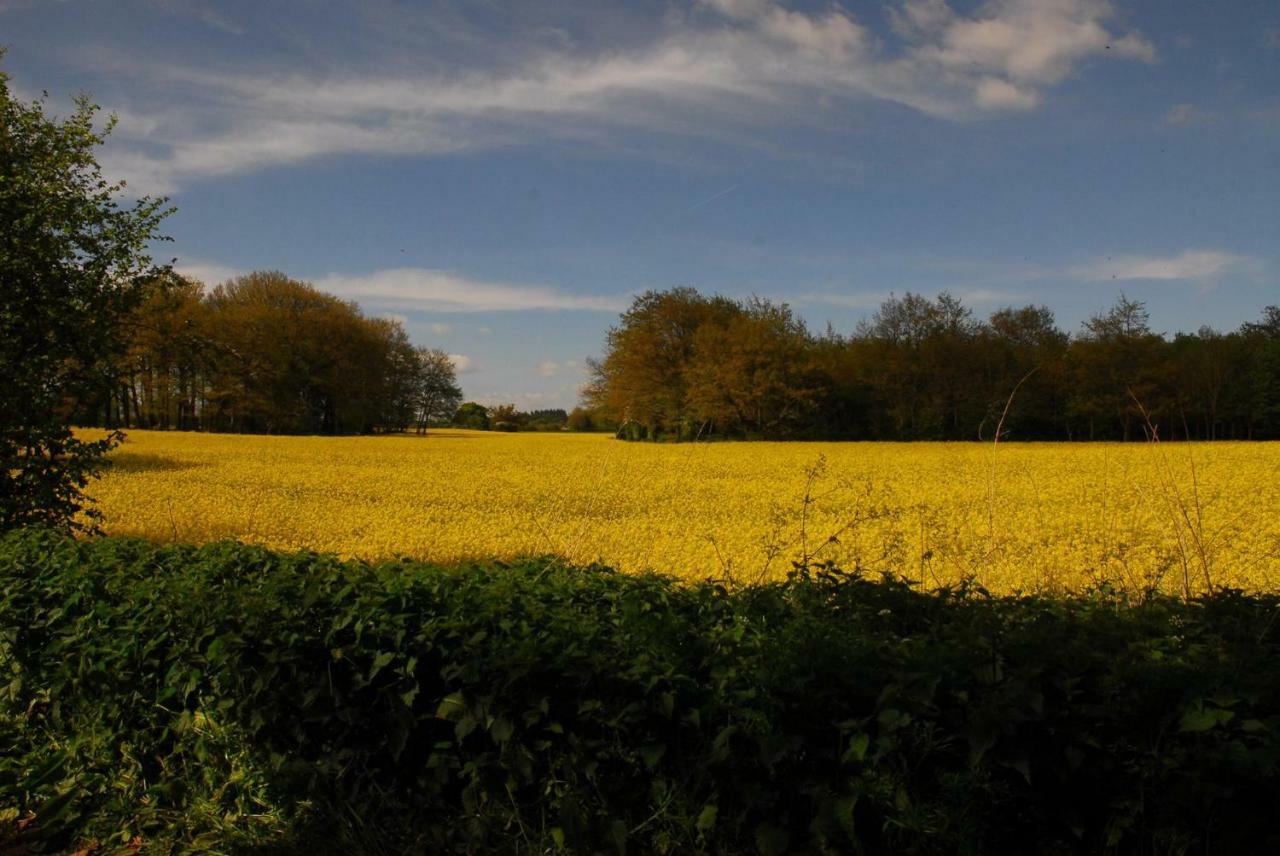 Bed and Breakfast Sindles Farm Emsworth Exterior foto